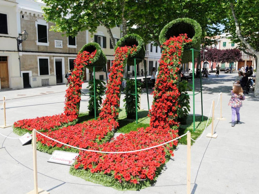 (Fotos) Días de flores en Alaior