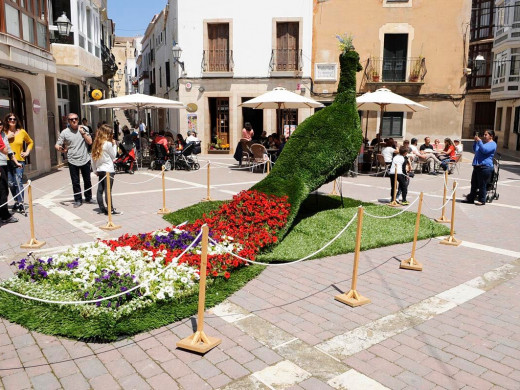 (Fotos) Días de flores en Alaior