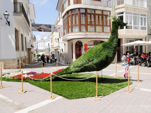 (Fotos) Días de flores en Alaior