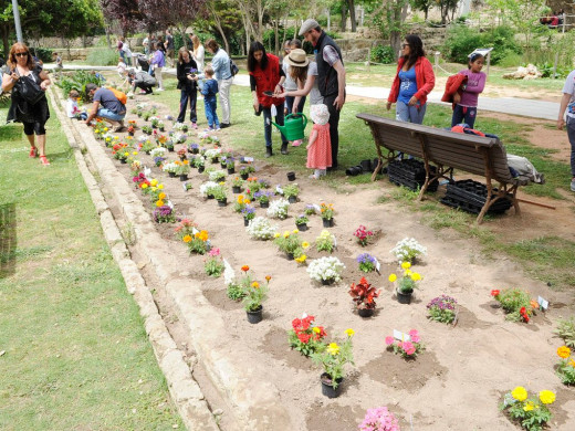 (Galería de fotos) Maó se llena de flores