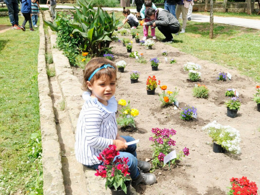 (Galería de fotos) Maó se llena de flores