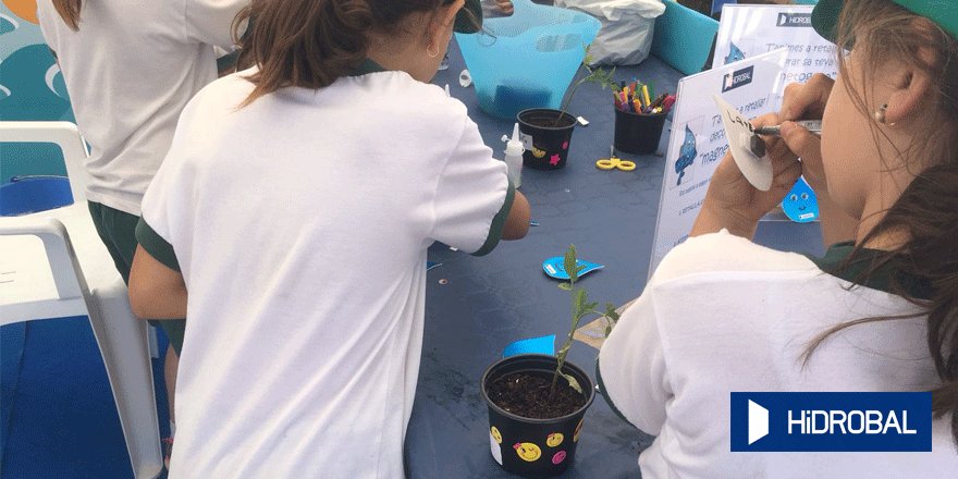 Niños en una de las actividades (Foto: GOB Menorca)