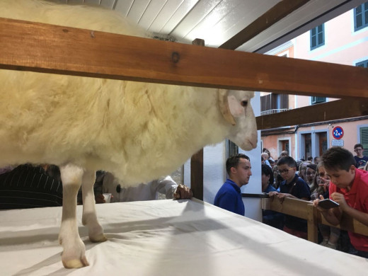 (Fotos) Una multitud en la “vetlla des Be”