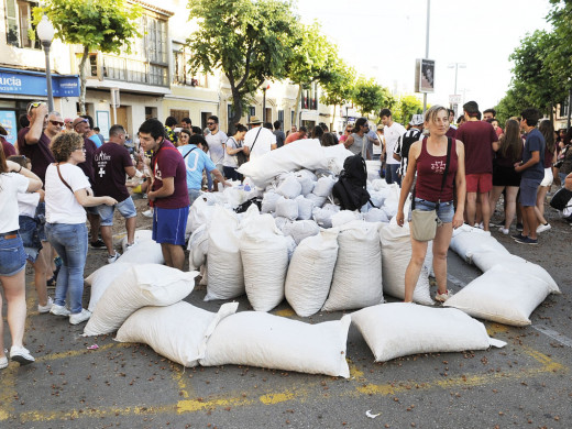 (Fotos y vídeo) Vuelan 400 toneladas de avellanas