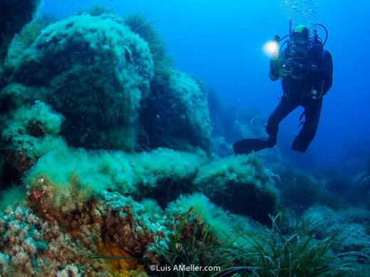 (Fotos) Hallan áncoras de hierro que podrían datar de los siglos XVII o XVIII