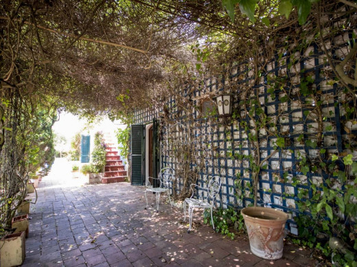 (Vídeo y fotos) Una casa de cuento de hadas en Alaior