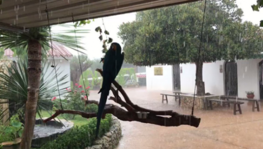 Captura del vídeo de la tormenta.