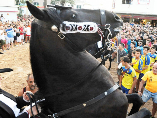 (Fotos) Fiesta en Sant Climent