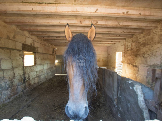 (Vídeo y fotos) La finca de Ferreries desde la que se puede ver toda Menorca