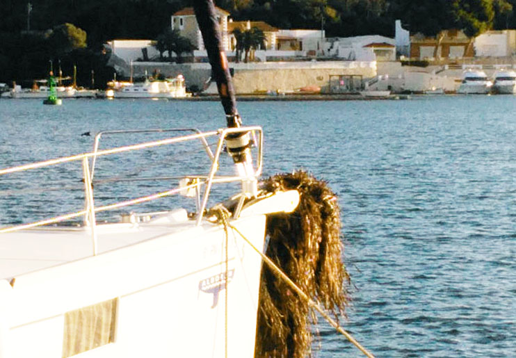 Imagen de la posidonia en la embarcación.