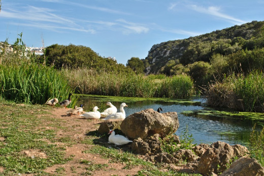 Menorca busca ofrecer experiencias de ecoturismo sostenible los viajeros