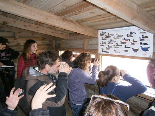 Imagen de una de las actividades del programa "Vive Menorca Biosfera"