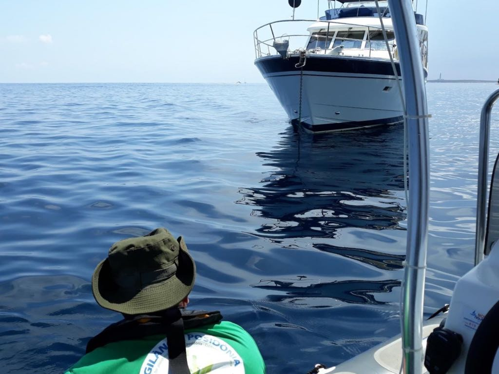 El Servicio de Vigilancia de la Posidonia trabajando en la costa de Menorca