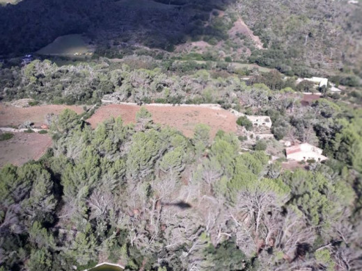 (Galería de fotos) Los efectos del “cap de fibló”, vistos desde el aire