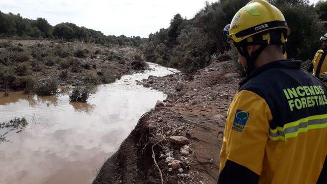 Esta mañana los efectivos de emergencia reanudan la búsqueda (Foto mallorcadiario.com)