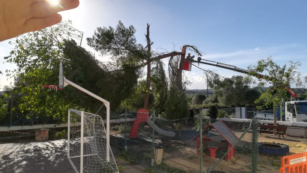 Personal de la brigada del ayuntamiento de Maó retira los restos de árboles que dejó el temporal