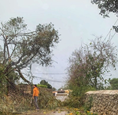 (Fotos) Las imágenes del vendaval