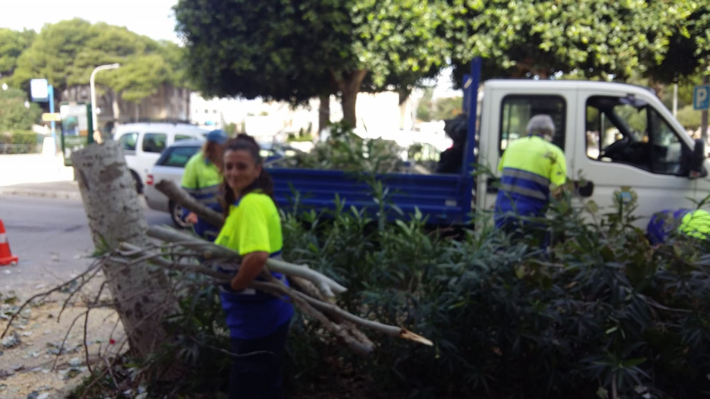 Los operarios del ayuntamiento trabajaban hoy en la Plaza Esplanada de Maó