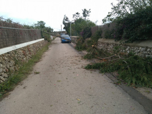 (Fotos) Las imágenes del vendaval