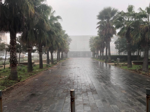 (Galería de fotos) Maó se despierta cubierta de niebla, que obliga a cerrar el puerto