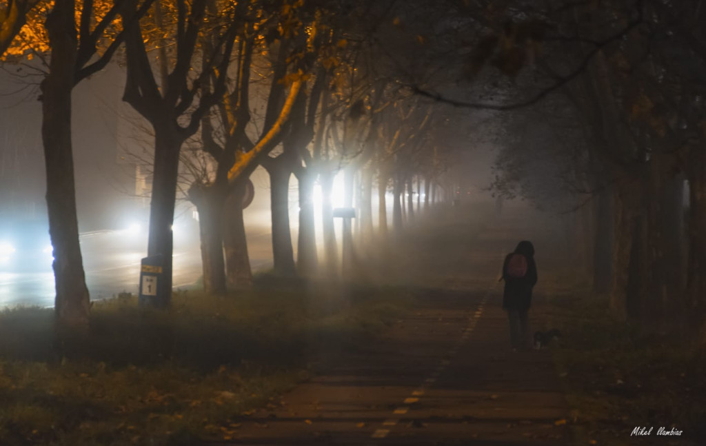 La niebla se despeja presentando cielos claros y soleados (Foto: Mikel Llambías)