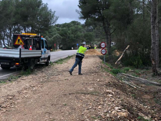 (Vídeos y fotos) Árboles caídos, oleaje, viento… así son los efectos del temporal