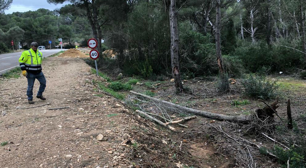 Aún quedan muchos árboles caídos por retirar (Foto: Tolo Mercadal)