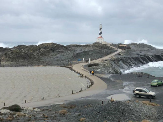 (Vídeos y fotos) Árboles caídos, oleaje, viento… así son los efectos del temporal