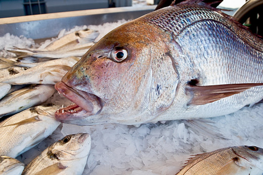 Algo está cambiando en la pescadería