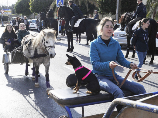 (Fotos) Animalada bendita