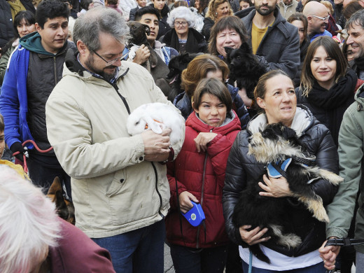 (Fotos) Animalada bendita