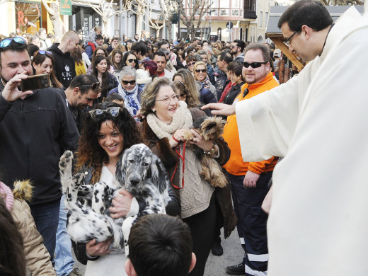 (Fotos) Animalada bendita