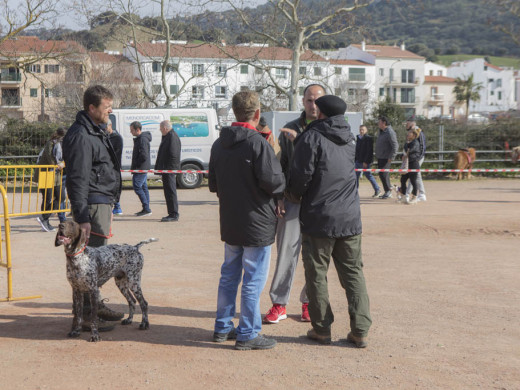 (Fotos) Brillante “Fira de sa Perdiu”