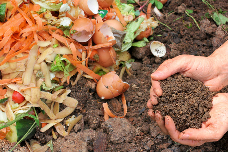 Compost casero.