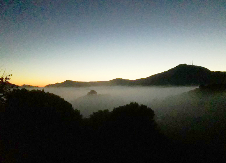 Primera luz y niebla.