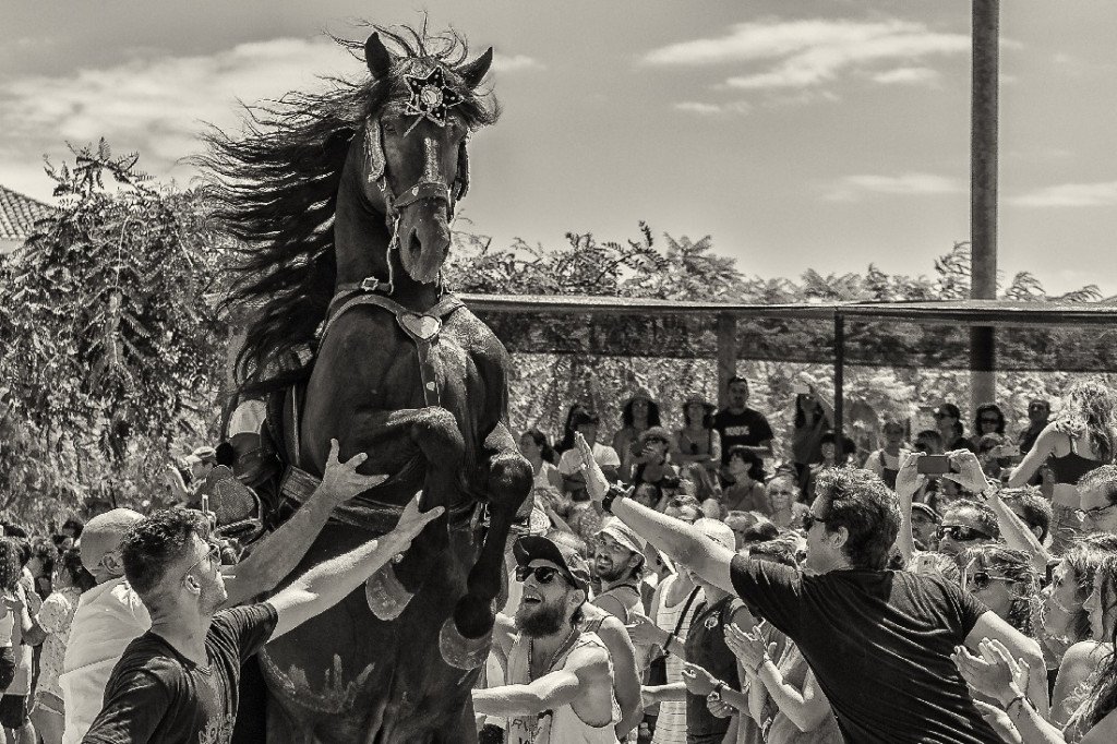 “Adoración”, la fotografía de Juan Meco ganadora de la V edición de este concurso