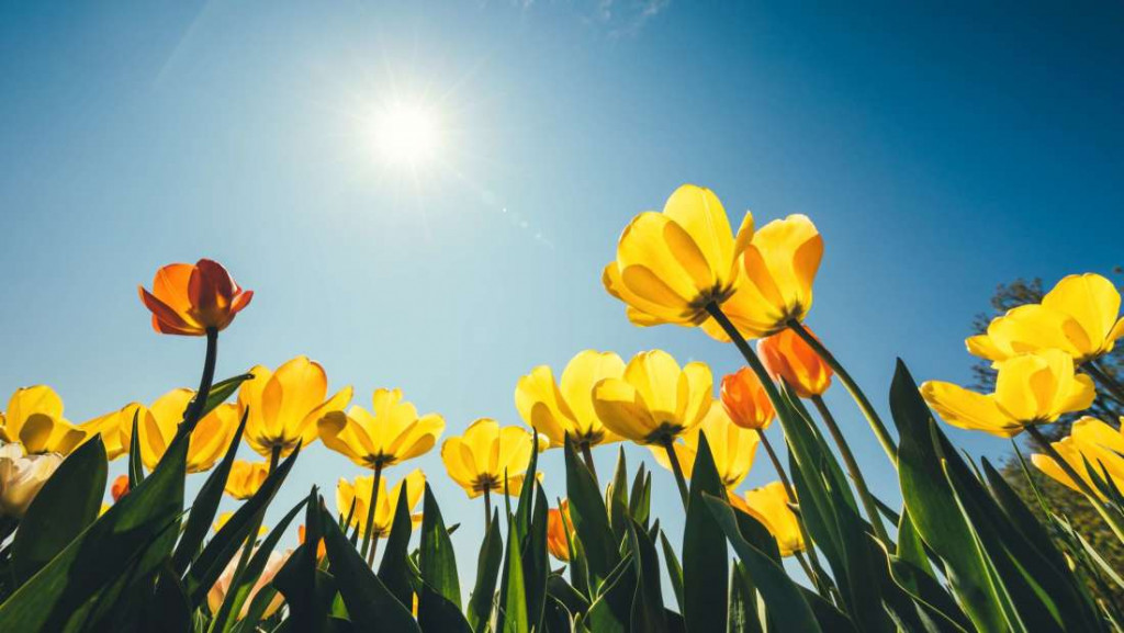 La temperatura irá subiendo hasta junio y tendrá una media de 18 grados.