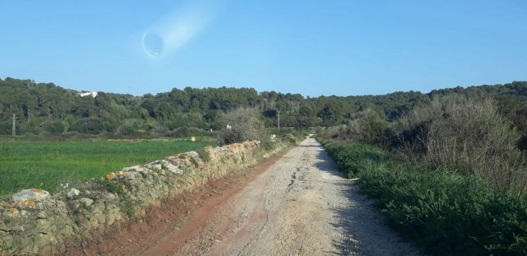 Las obras deberán ejecutarse en 46 días.