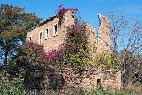 Casa en ruinas.