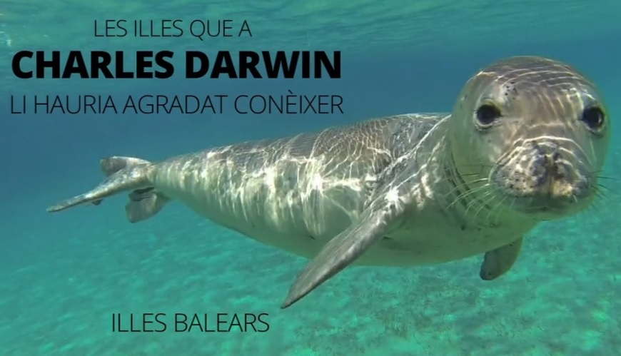 El documental de Toni Escandell es una historia ficticia que trae a Darwin a las Baleares