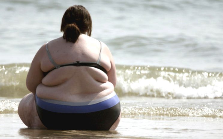 La obesidad constituye a día de hoy uno de los problemas de salud más importantes en el mundo desarrollado.