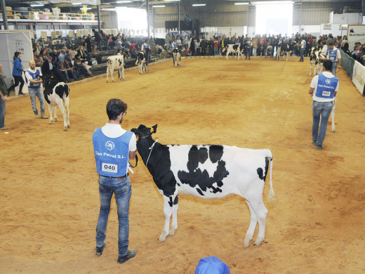 (Fotos) Arranca la Fira del Camp d’Alaior