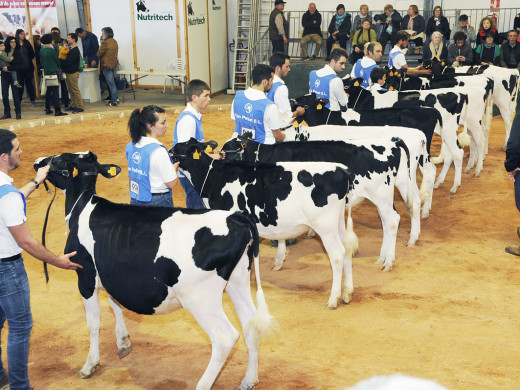 (Fotos) Arranca la Fira del Camp d’Alaior