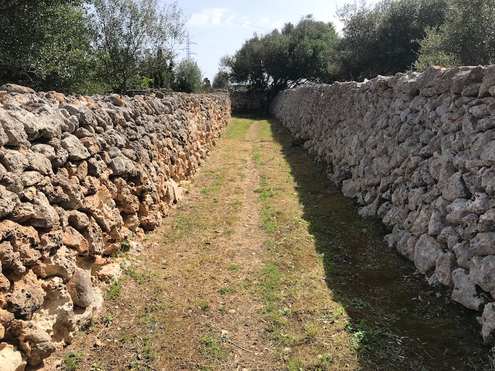 Camino rural de Ciutadella (Foto: Ayuntamiento de Ciutadella)