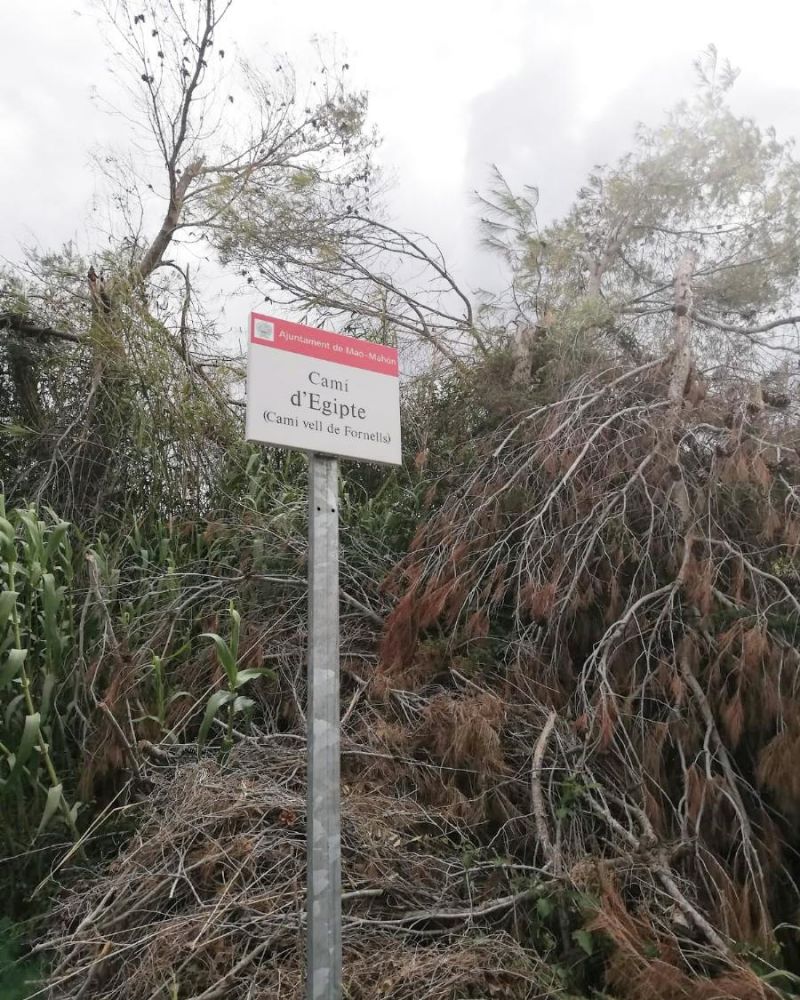 El Camí d'Egipte es un camino rural de tierra recuperado hace unos 7 años