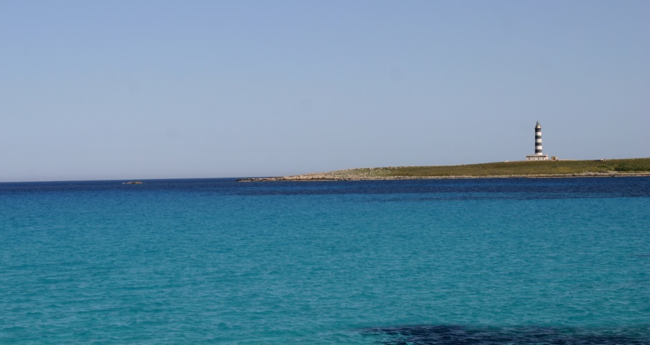 Con esta jornada se pretende preservar la Illa del Aire (Foto: Menorca Reserva de la Biosfera)