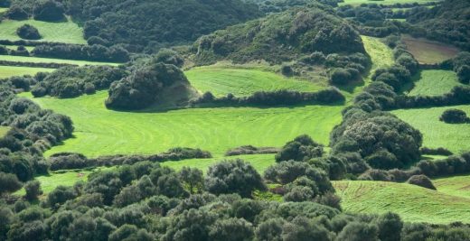 Protección del paisaje.