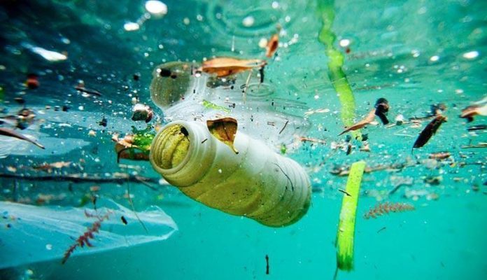 Plásticos en el Mediterráneo (Foto: Ambientum)