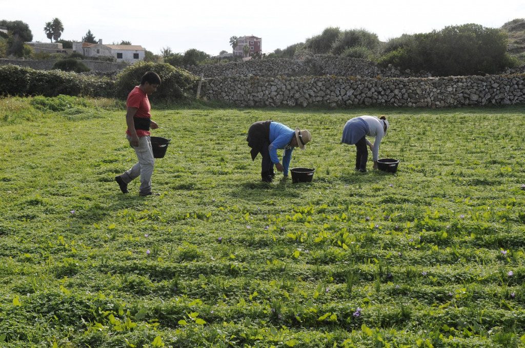 Piden que la nueva normativa urbanística posibilite económicamente el mantenimiento de la labor agraria