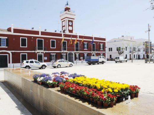 (Galería de fotos) Menorca se llena de flores